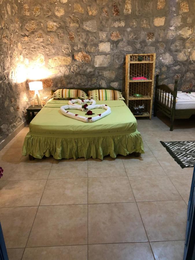 Zirkon Doga Butik Otel Φετιγιέ Εξωτερικό φωτογραφία