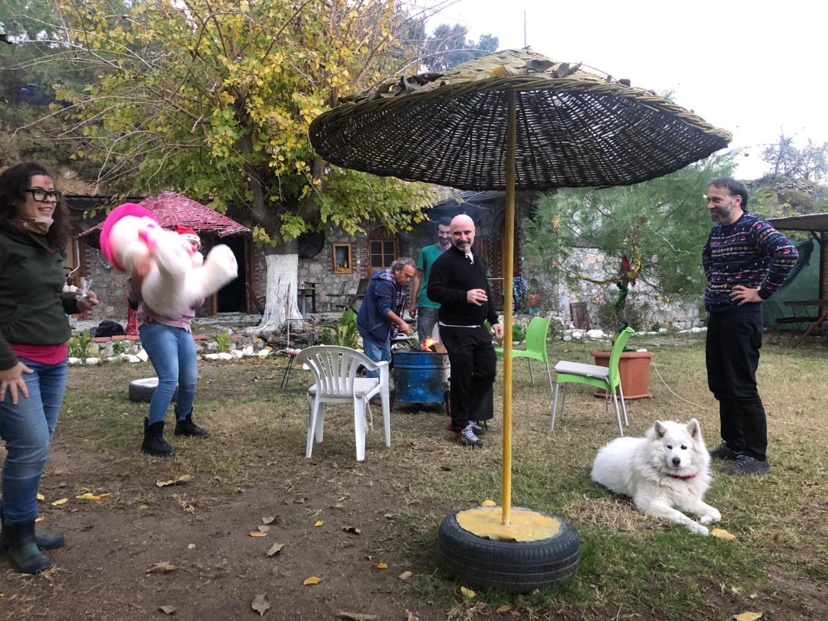 Zirkon Doga Butik Otel Φετιγιέ Εξωτερικό φωτογραφία