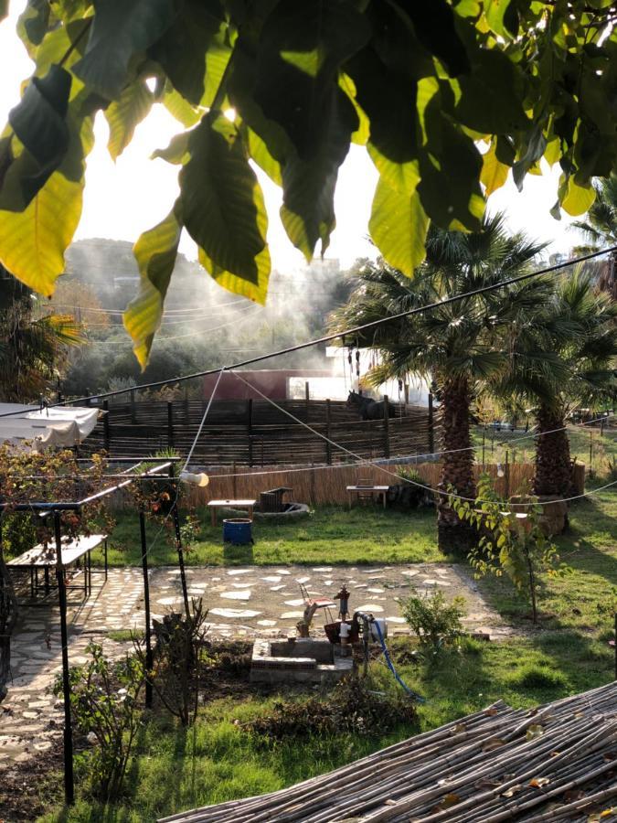 Zirkon Doga Butik Otel Φετιγιέ Εξωτερικό φωτογραφία