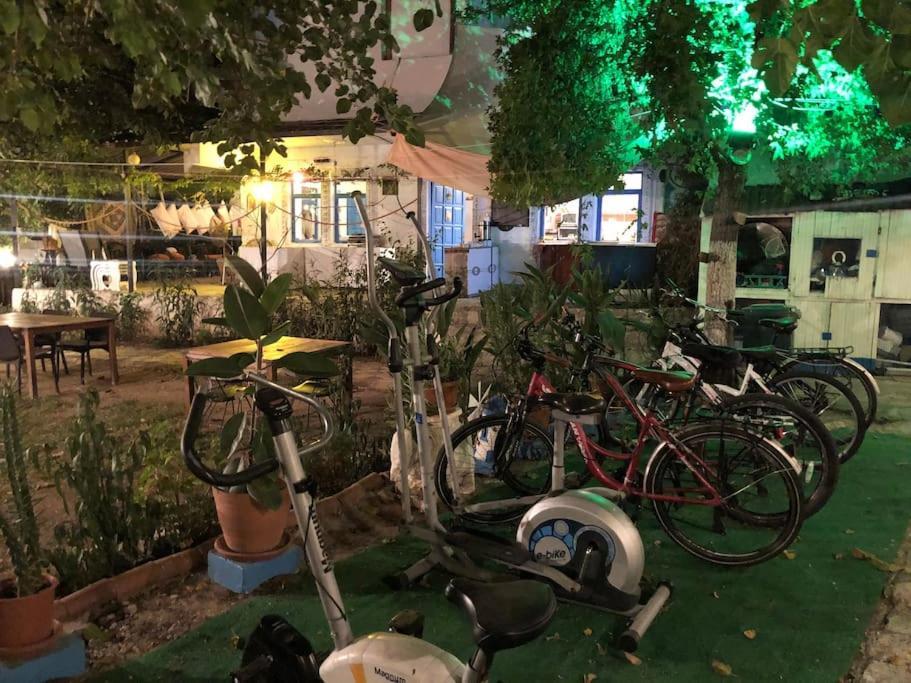 Zirkon Doga Butik Otel Φετιγιέ Εξωτερικό φωτογραφία