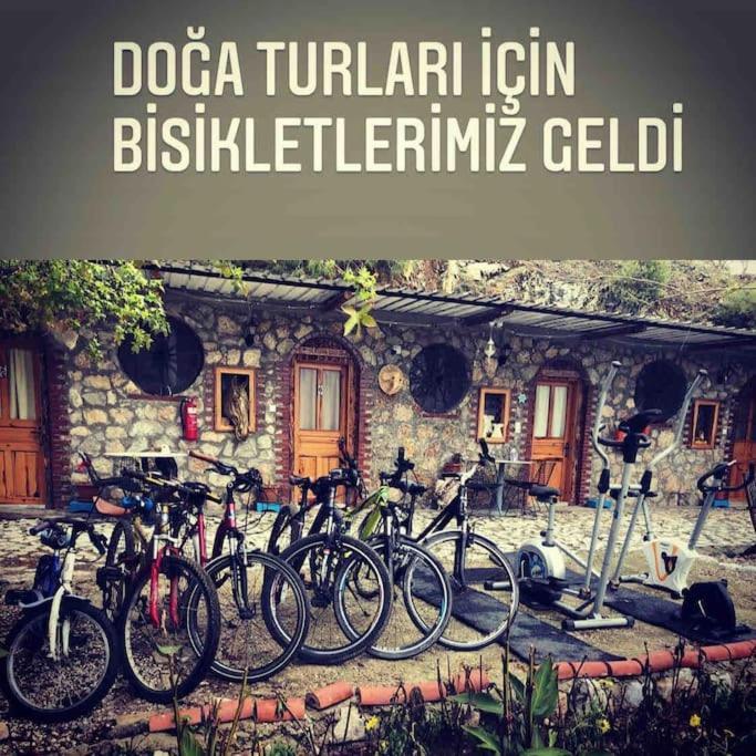 Zirkon Doga Butik Otel Φετιγιέ Εξωτερικό φωτογραφία